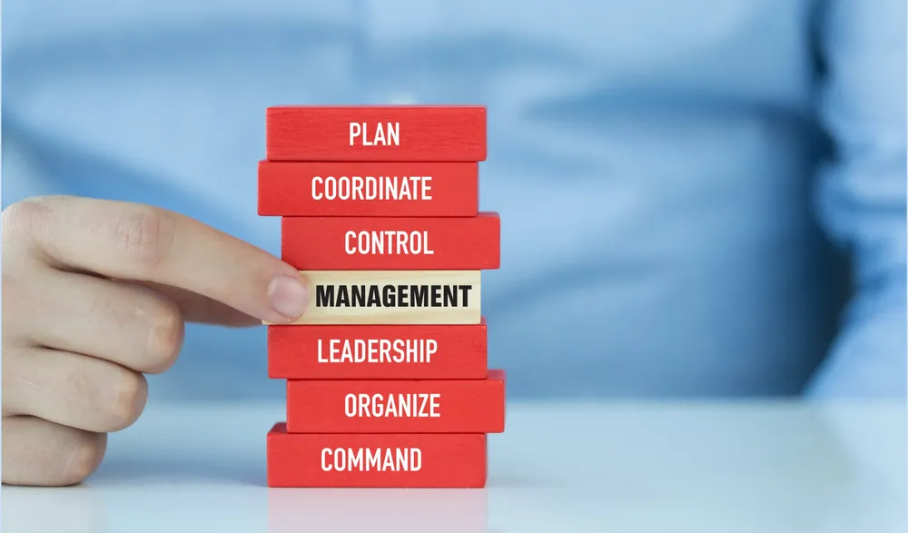 Култура без "Middle Management": Как работи една организация, базирана на доверие?